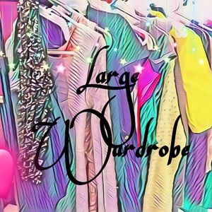 Women's large clothing bundle lot wardrobe 28 pc